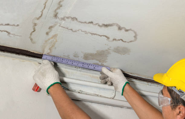 Reliable Water Damage Repair contractor in Meridianville, AL by Hirex Water Damage